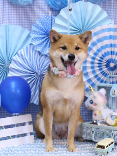 20231108リンちゃん